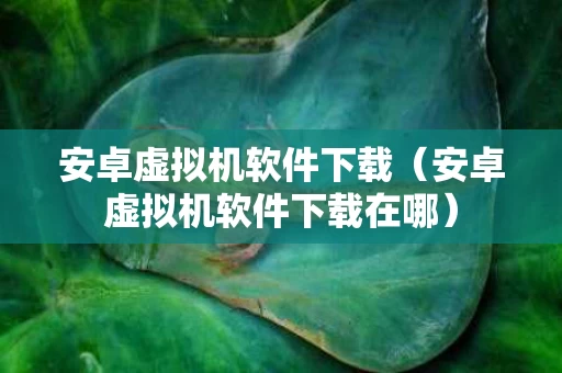 安卓虚拟机软件下载（安卓虚拟机软件下载在哪）