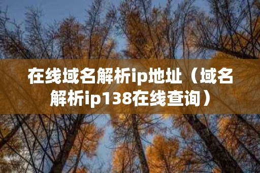 在线域名解析ip地址（域名解析ip138在线查询）