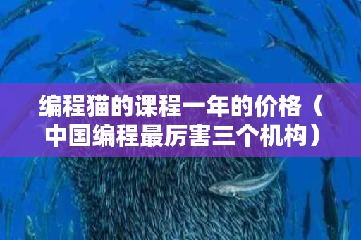 编程猫的课程一年的价格（中国编程最厉害三个机构）