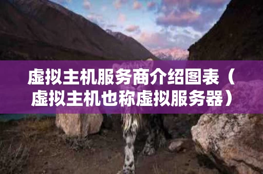 虚拟主机服务商介绍图表（虚拟主机也称虚拟服务器）