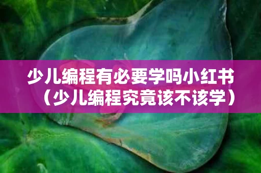 少儿编程有必要学吗小红书（少儿编程究竟该不该学）