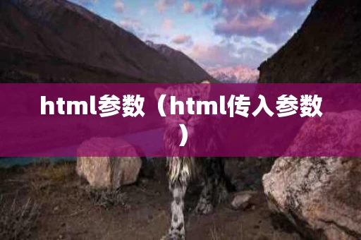 html参数（html传入参数）