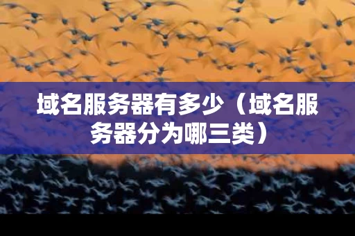 域名服务器有多少（域名服务器分为哪三类）