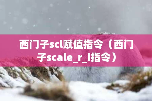 西门子scl赋值指令（西门子scale_r_i指令）