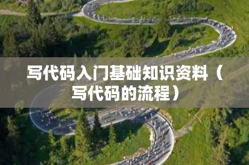 写代码入门基础知识资料（写代码的流程）