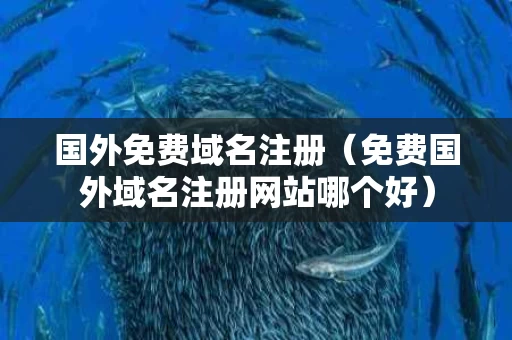 国外免费域名注册（免费国外域名注册网站哪个好）