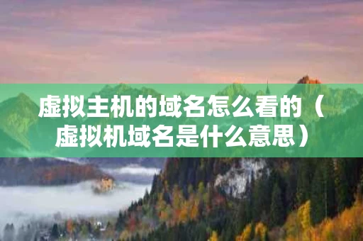 虚拟主机的域名怎么看的（虚拟机域名是什么意思）