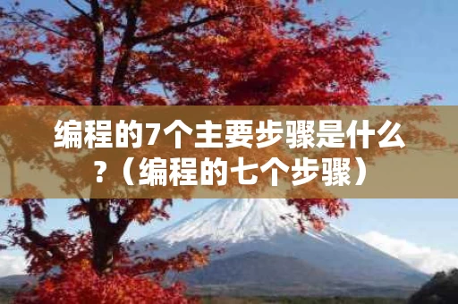 编程的7个主要步骤是什么?（编程的七个步骤）