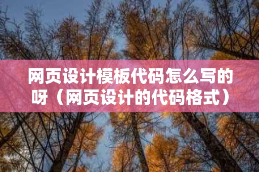网页设计模板代码怎么写的呀（网页设计的代码格式）