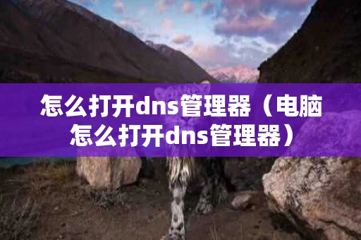 怎么打开dns管理器（电脑怎么打开dns管理器）