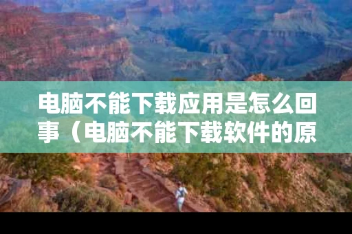 电脑不能下载应用是怎么回事（电脑不能下载软件的原因）