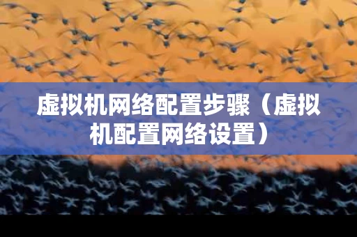 虚拟机网络配置步骤（虚拟机配置网络设置）