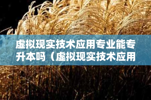 虚拟现实技术应用专业能专升本吗（虚拟现实技术应用专业能专升本吗女生）