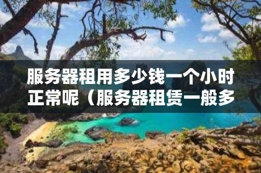 服务器租用多少钱一个小时正常呢（服务器租赁一般多少钱）