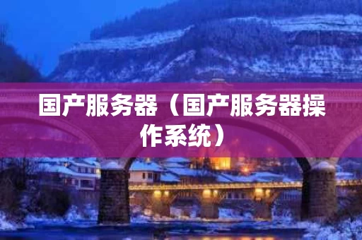 国产服务器（国产服务器操作系统）