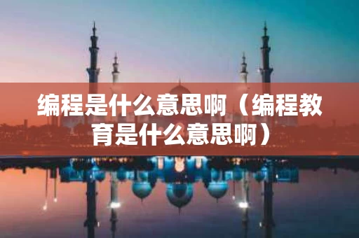 编程是什么意思啊（编程教育是什么意思啊）