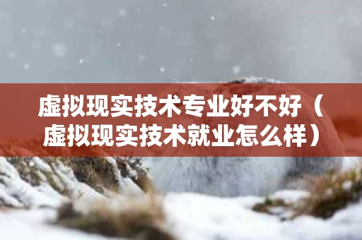 虚拟现实技术专业好不好（虚拟现实技术就业怎么样）