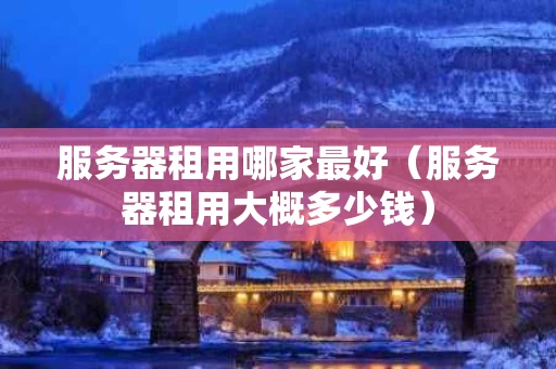 服务器租用哪家最好（服务器租用大概多少钱）