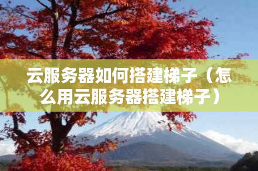 云服务器如何搭建梯子（怎么用云服务器搭建梯子）