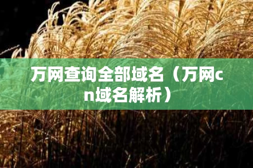 万网查询全部域名（万网cn域名解析）