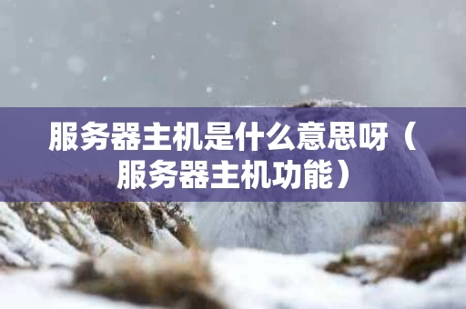 服务器主机是什么意思呀（服务器主机功能）