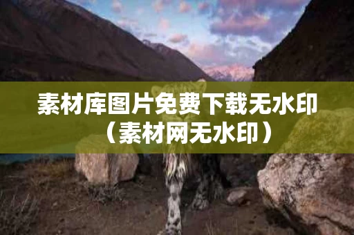 素材库图片免费下载无水印（素材网无水印）