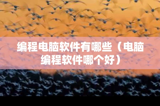 编程电脑软件有哪些（电脑编程软件哪个好）