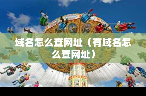 域名怎么查网址（有域名怎么查网址）