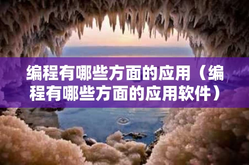 编程有哪些方面的应用（编程有哪些方面的应用软件）