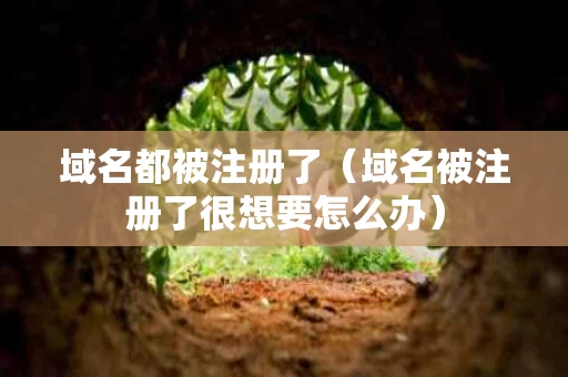 域名都被注册了（域名被注册了很想要怎么办）