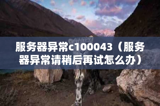 服务器异常c100043（服务器异常请稍后再试怎么办）