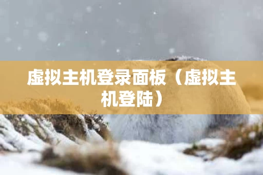 虚拟主机登录面板（虚拟主机登陆）