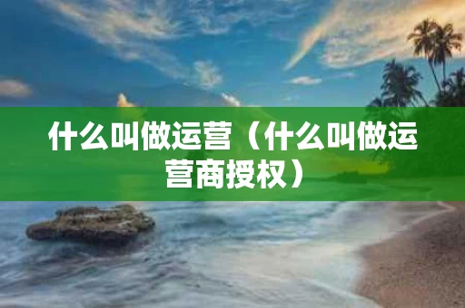 什么叫做运营（什么叫做运营商授权）