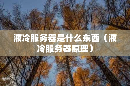 液冷服务器是什么东西（液冷服务器原理）