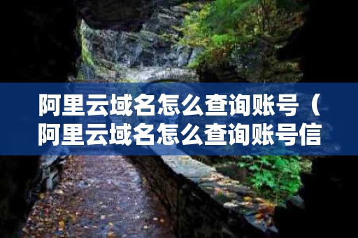 阿里云域名怎么查询账号（阿里云域名怎么查询账号信息）