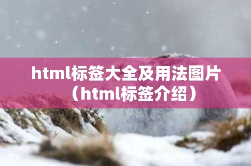 html标签大全及用法图片（html标签介绍）
