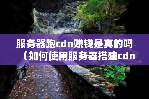 服务器跑cdn赚钱是真的吗（如何使用服务器搭建cdn加速）
