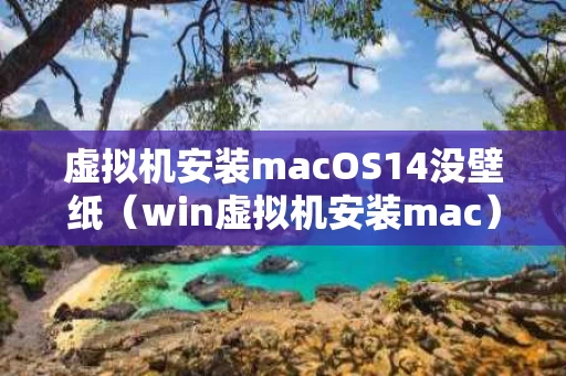 虚拟机安装macOS14没壁纸（win虚拟机安装mac）