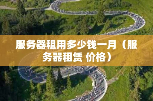 服务器租用多少钱一月（服务器租赁 价格）