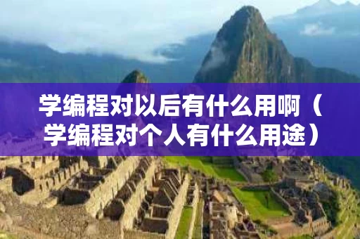 学编程对以后有什么用啊（学编程对个人有什么用途）