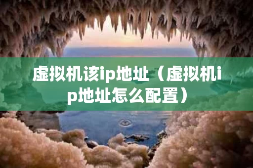 虚拟机该ip地址（虚拟机ip地址怎么配置）