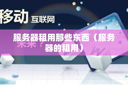 服务器租用那些东西（服务器的租用）