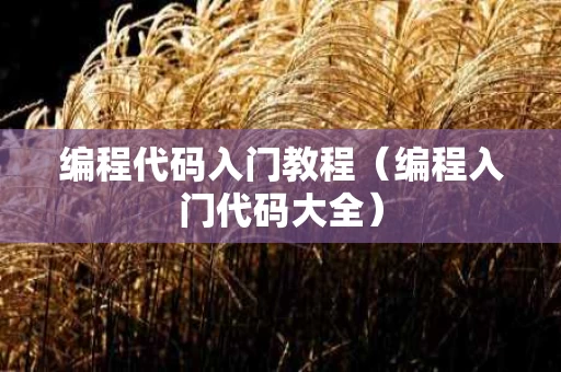 编程代码入门教程（编程入门代码大全）