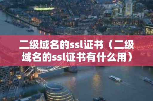 二级域名的ssl证书（二级域名的ssl证书有什么用）