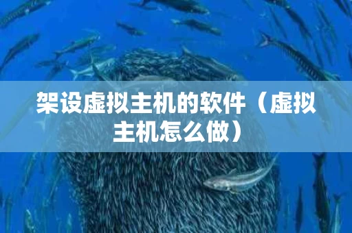 架设虚拟主机的软件（虚拟主机怎么做）