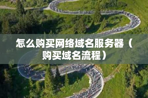 怎么购买网络域名服务器（购买域名流程）