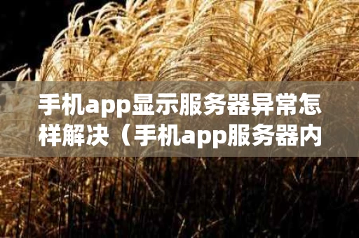 手机app显示服务器异常怎样解决（手机app服务器内部错误 啥意思）