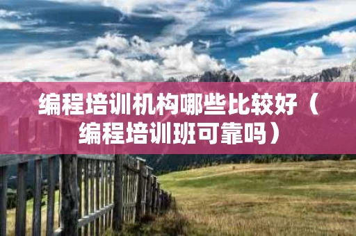 编程培训机构哪些比较好（编程培训班可靠吗）