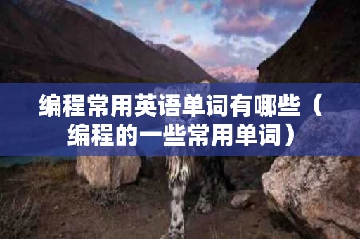 编程常用英语单词有哪些（编程的一些常用单词）