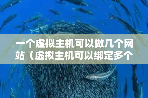 一个虚拟主机可以做几个网站（虚拟主机可以绑定多个网站吗）